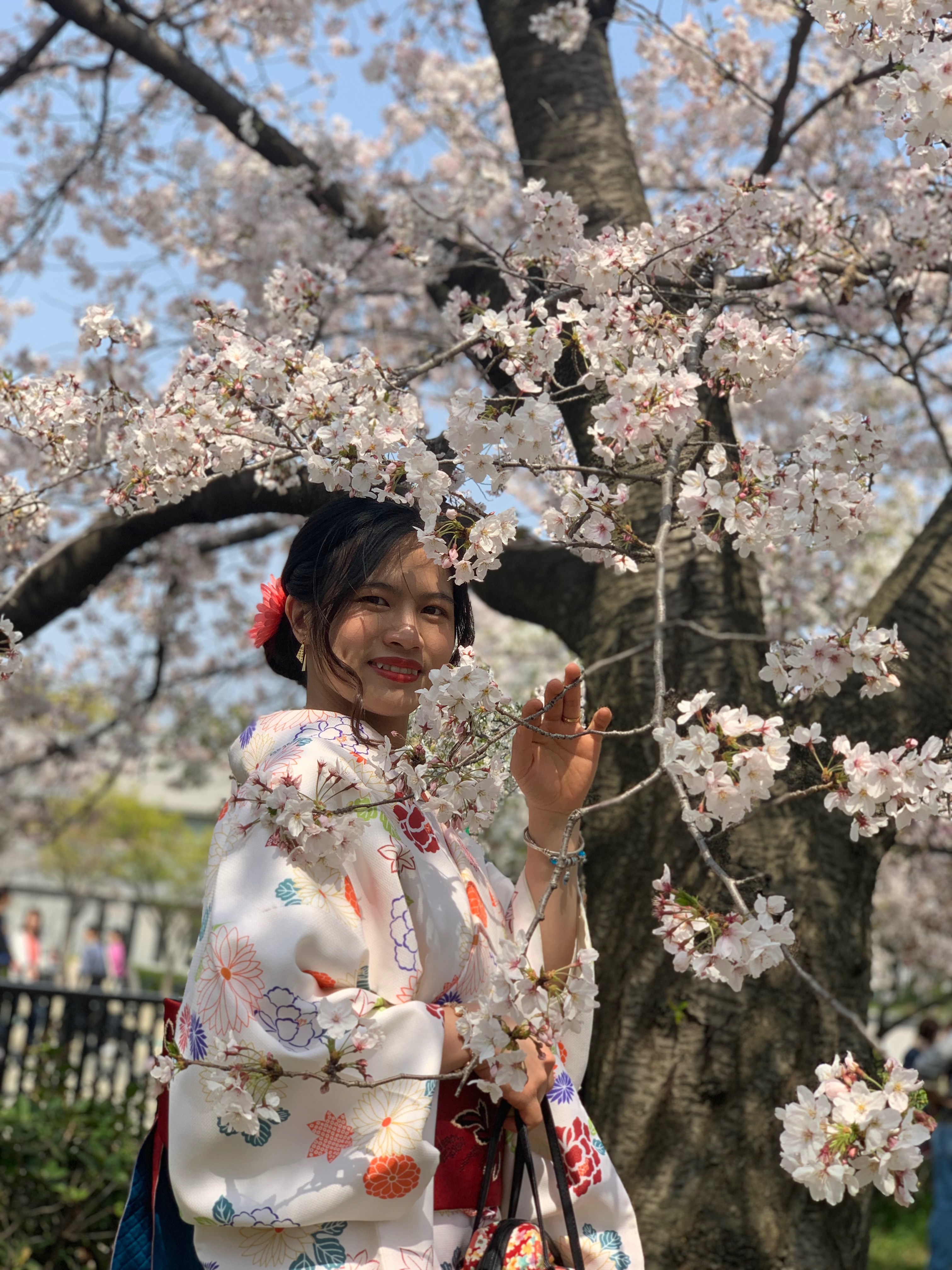 着物でお花見(^^♪